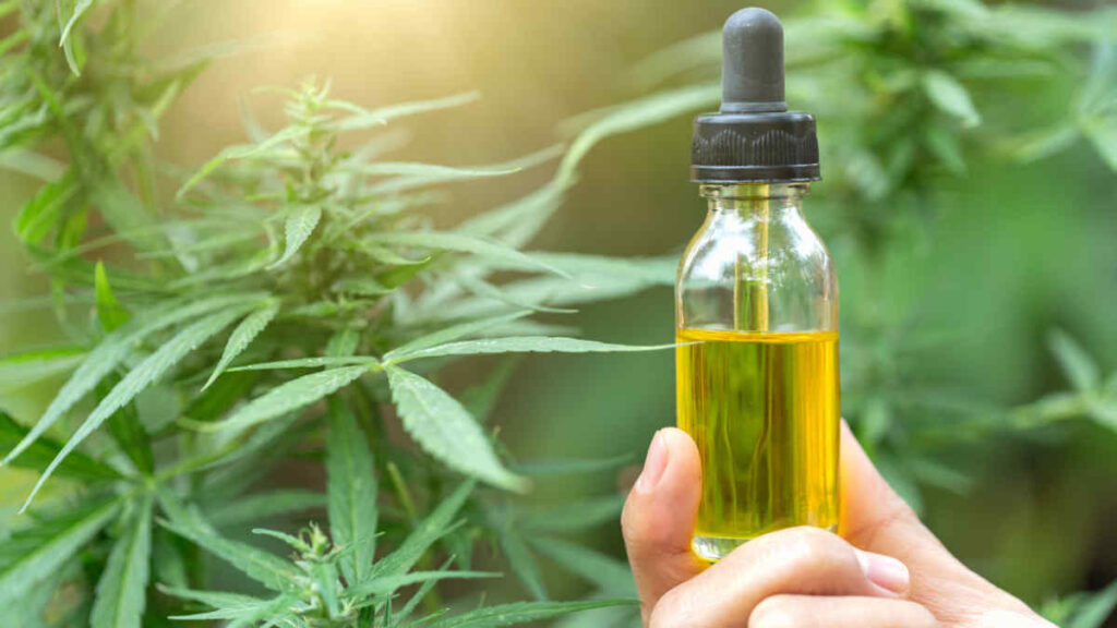 The 8 Benefits of Using CBD Oil