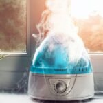3 Types of the Best Humidifiers on the Market
