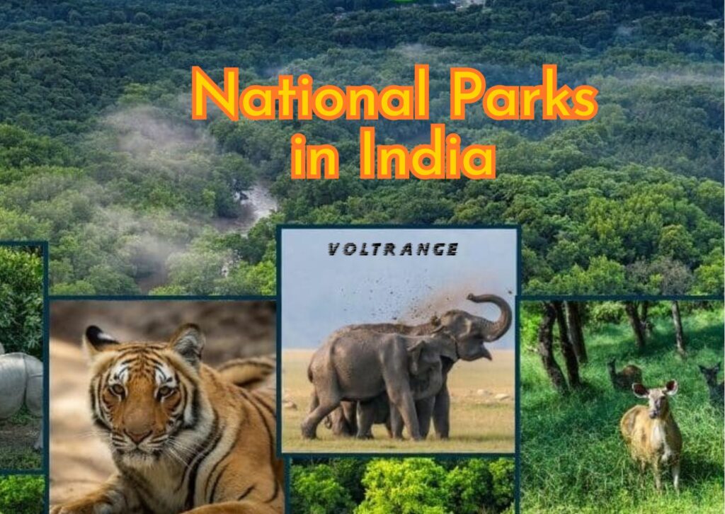 Biggest National Parks in India