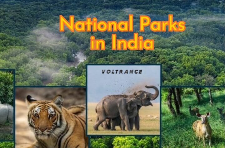 Biggest National Parks in India