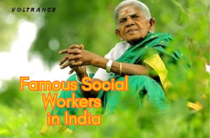 Famous Social Workers in India