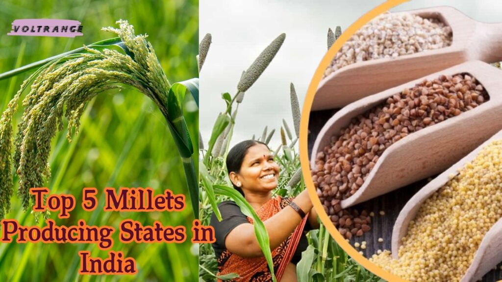 Top 5 Millets Producing States in India