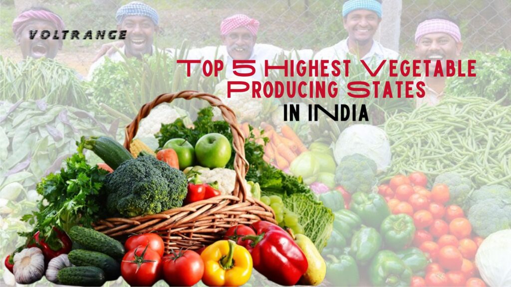 Top 5 Highest Vegetable Producing States in India