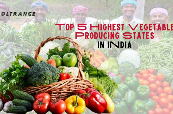 Top 5 Highest Vegetable Producing States in India