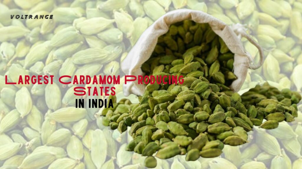 Largest Cardamom Producing States in India