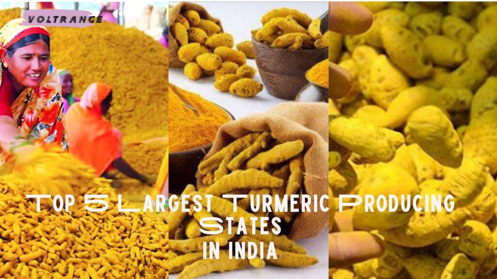 Top 5 Largest Turmeric Producing States in India