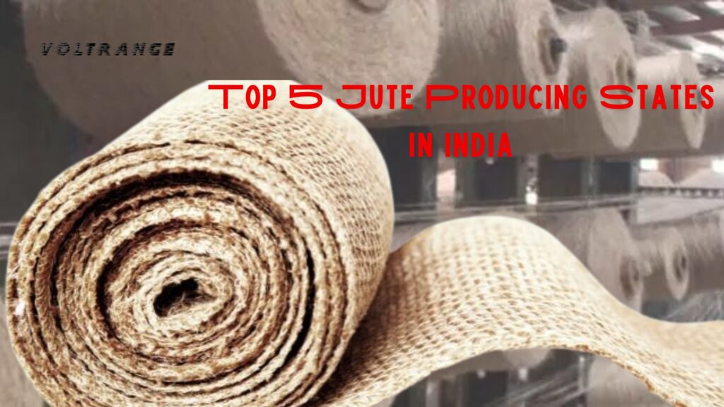 Top 5 Jute Producing States in India