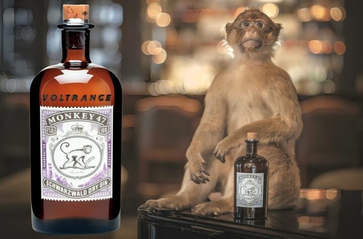 Monkey 47 Gin