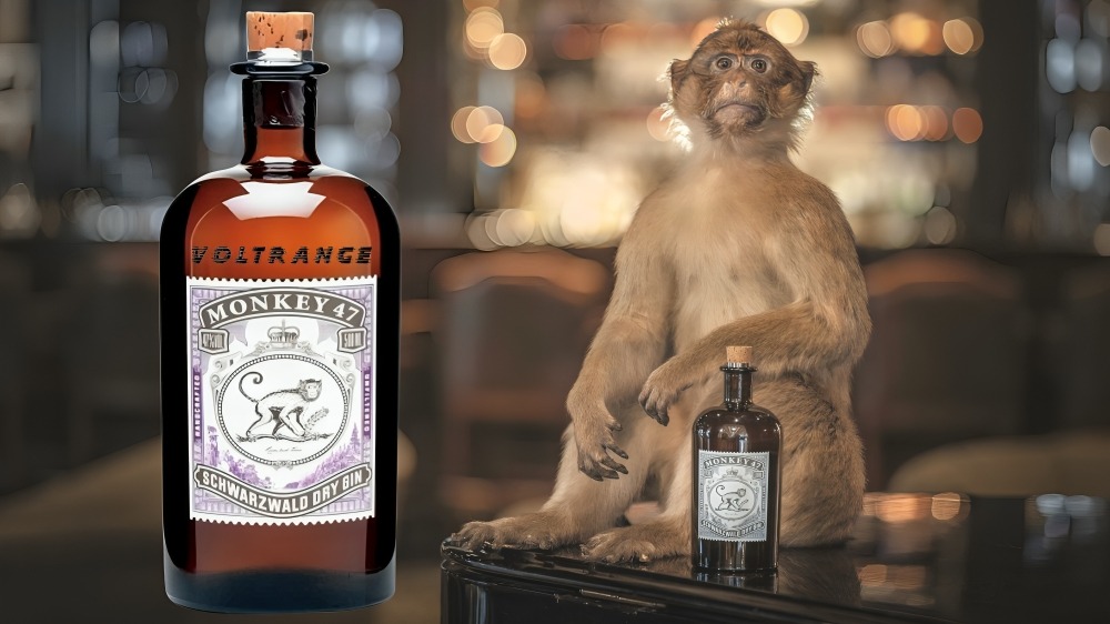 Monkey 47 Gin