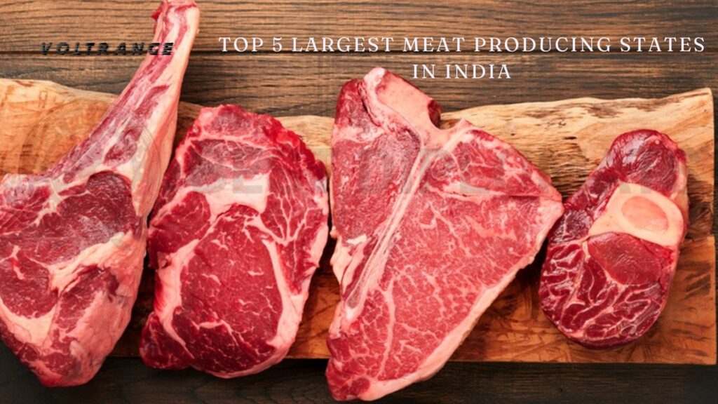 Top 5 Largest Meat Producing States in India