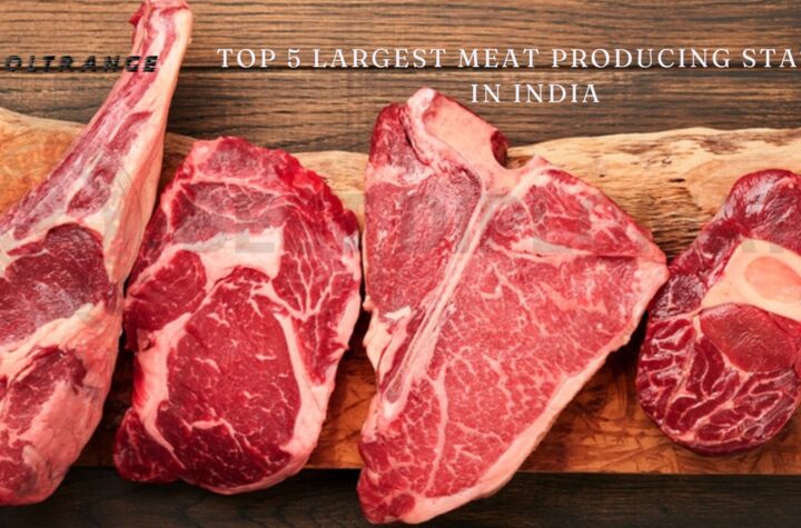 Top 5 Largest Meat Producing States in India