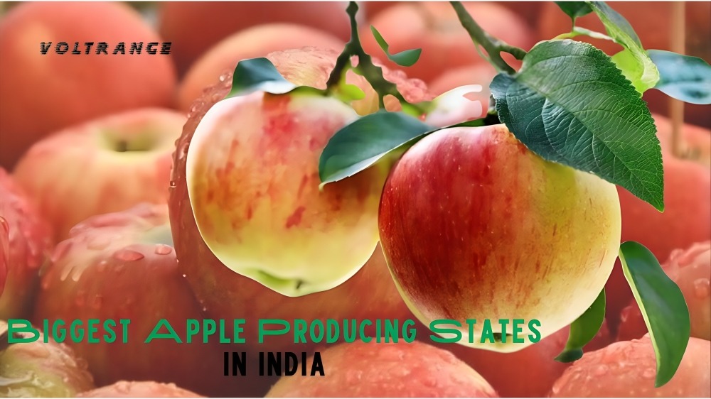 Biggest Apple Producing States in India